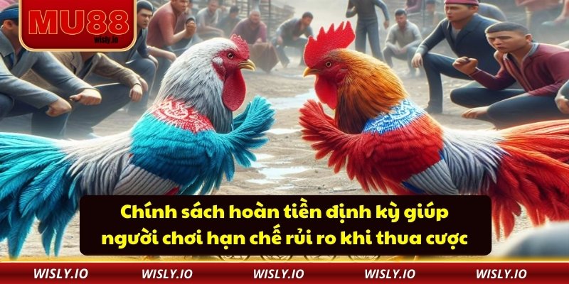 Chính sách hoàn tiền định kỳ giúp người chơi hạn chế rủi ro khi thua cược