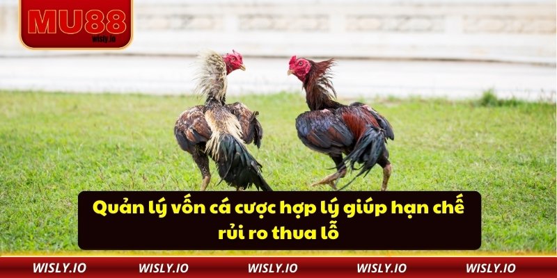 Quản lý vốn cá cược hợp lý giúp hạn chế rủi ro thua lỗ