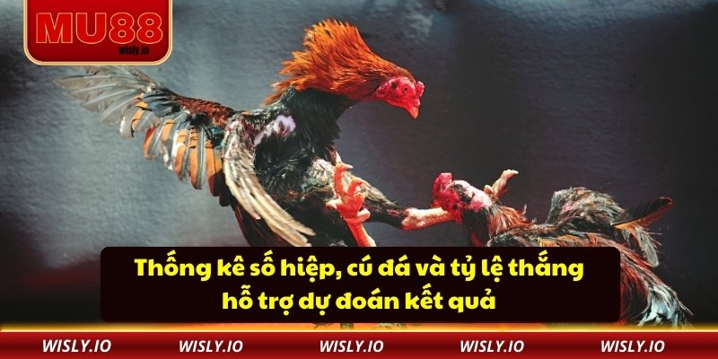 Thống kê số hiệp, cú đá và tỷ lệ thắng hỗ trợ dự đoán kết quả