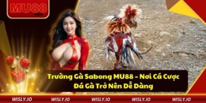 Trường Gà Sabong MU88 – Nơi Cá Cược Đá Gà Trở Nên Dễ Dàng