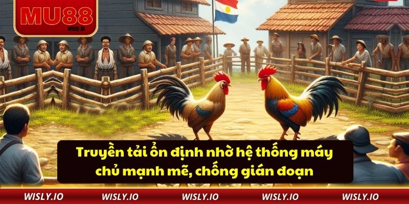 Truyền tải ổn định nhờ hệ thống máy chủ mạnh mẽ, chống gián đoạn